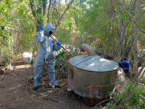 Mexican Army, CENFI and CNI secure clandestine laboratory in Sinaloa.