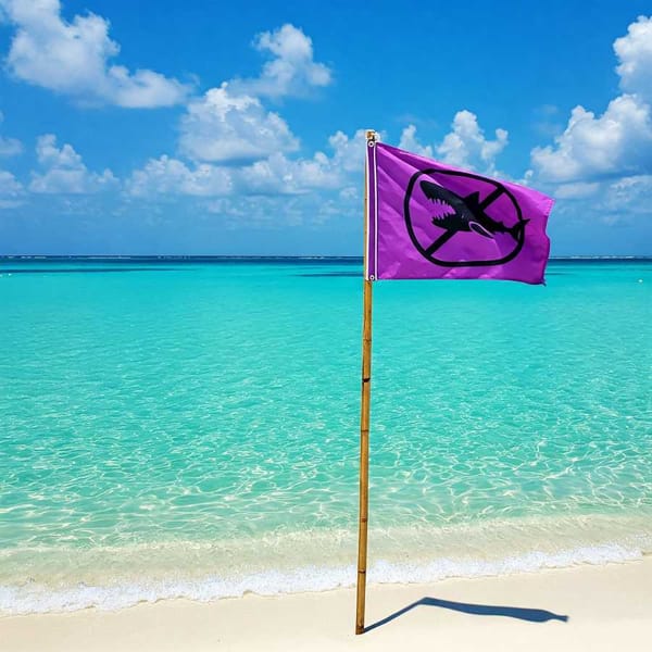 Turquoise water with a purple warning flag flying on a beach, indicating dangerous marine life is present.