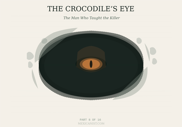 Ink-sketch illustration of a cenote from above with a crocodile eye at center and a faint elongated mask shape visible behind it. Title reads The Crocodile's Eye, Part 8 of 16.