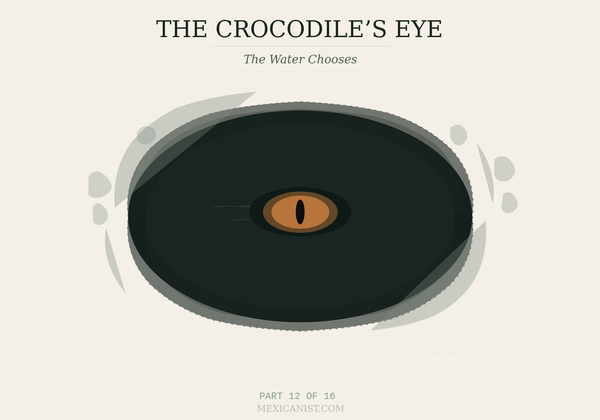 Ink-sketch illustration of a cenote from above with a crocodile eye at center and ochre-colored wave lines moving across the surface. Title reads The Crocodile's Eye, Part 12 of 16.