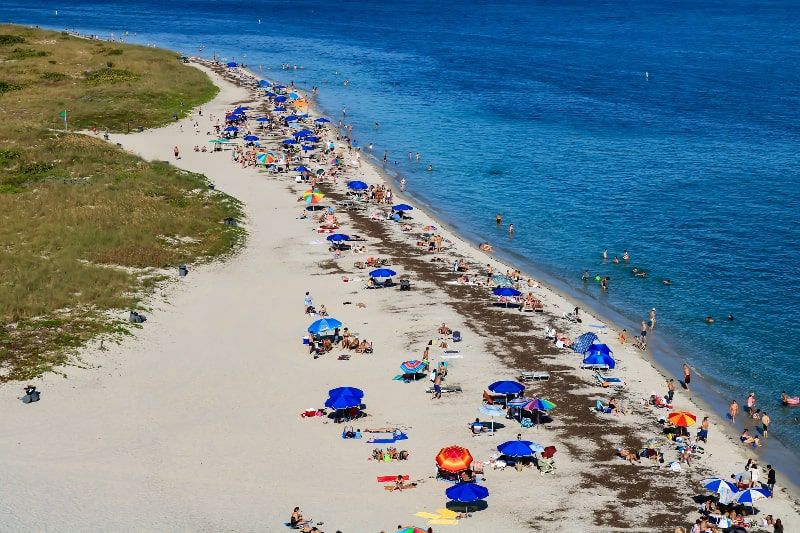 Florida's Seaweed Conditions What Tourists Need to Know